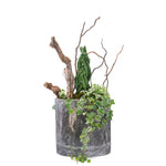 باقة سانسيفيريا المتميزة