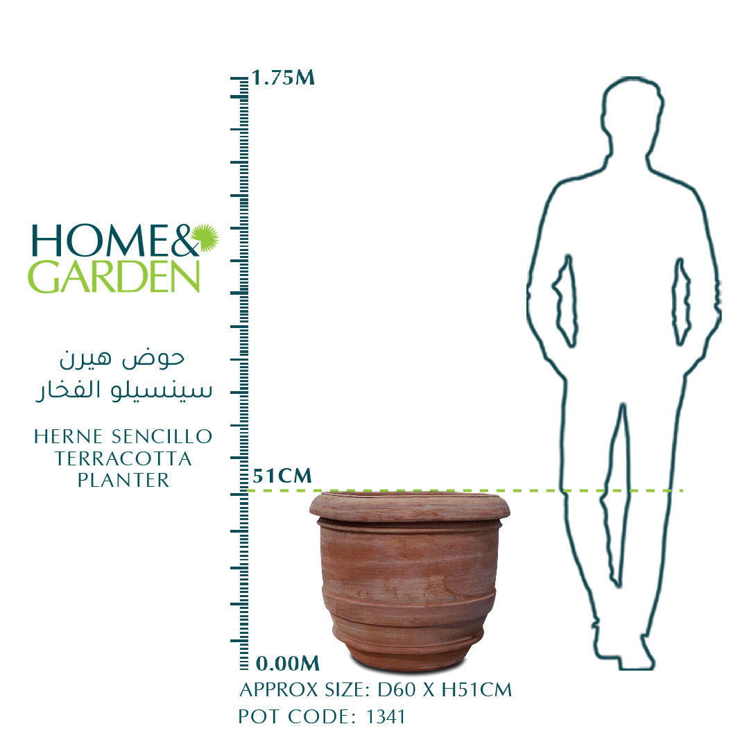 HERNE SENCILLO TERRACOTTA PLANTER - حوض هيرن سينسيلو الفخار
