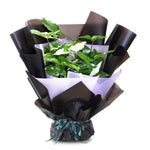 SYNGONIUM BOUQUET - باقة سينغونيوم