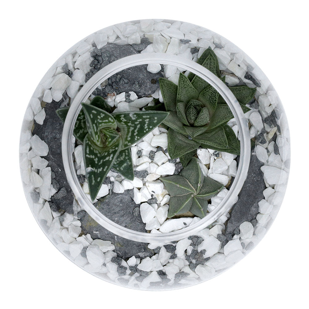 TERRARIUM GIFT SET - (صباريات في (هدية تيراريوم