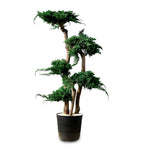 PRESERVED BONSAI TREE 1 MTR - شجرة بونساي المجففة 1 متر