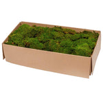 PRESERVE FLAT MOSS BOX (2.5 KG)-نباتات مجففة في علبة (ارضية) (2.5 كجم)