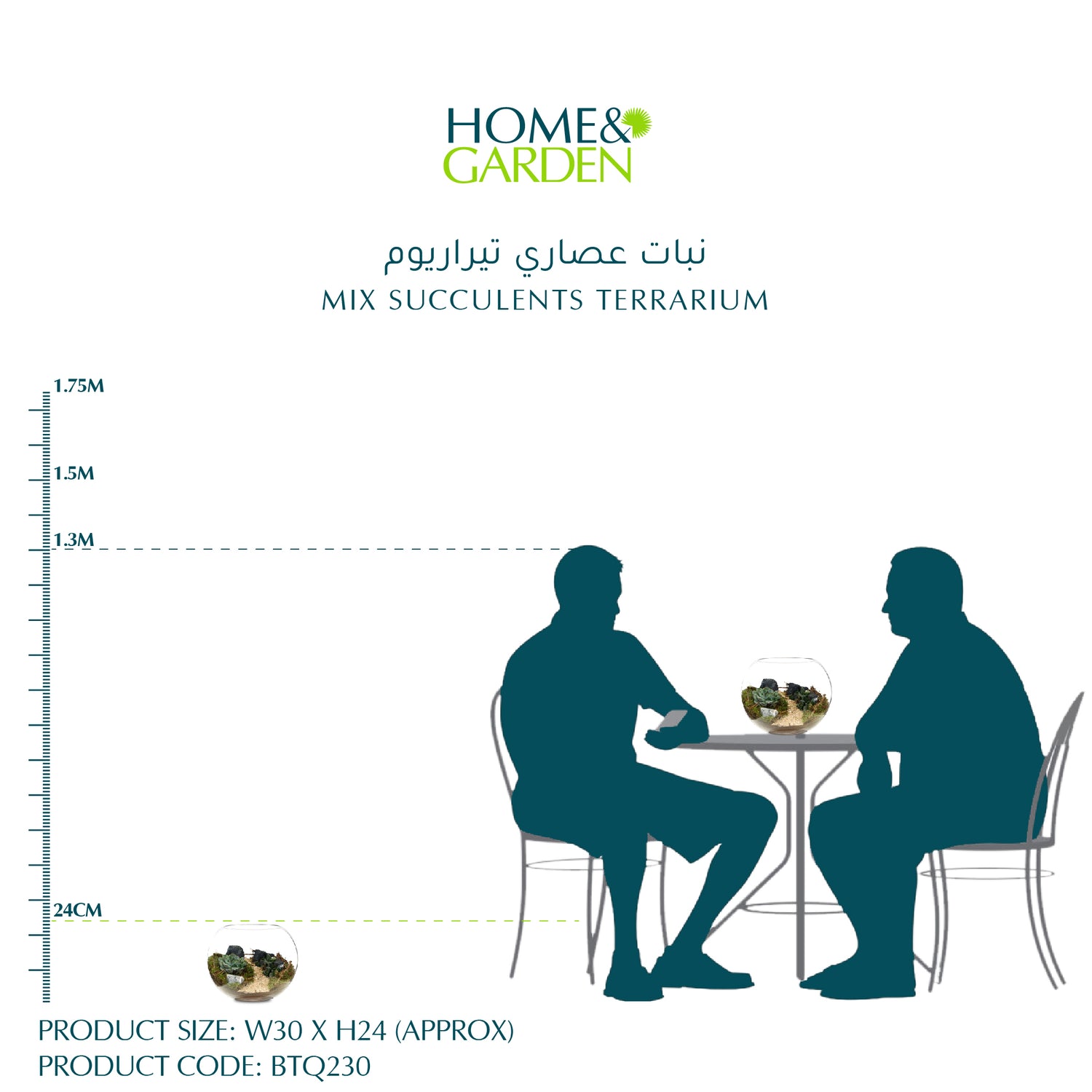 عصاريات في تيراريوم