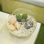 CACTUS IN GLASS TERRARIUM - تيراريوم صبار