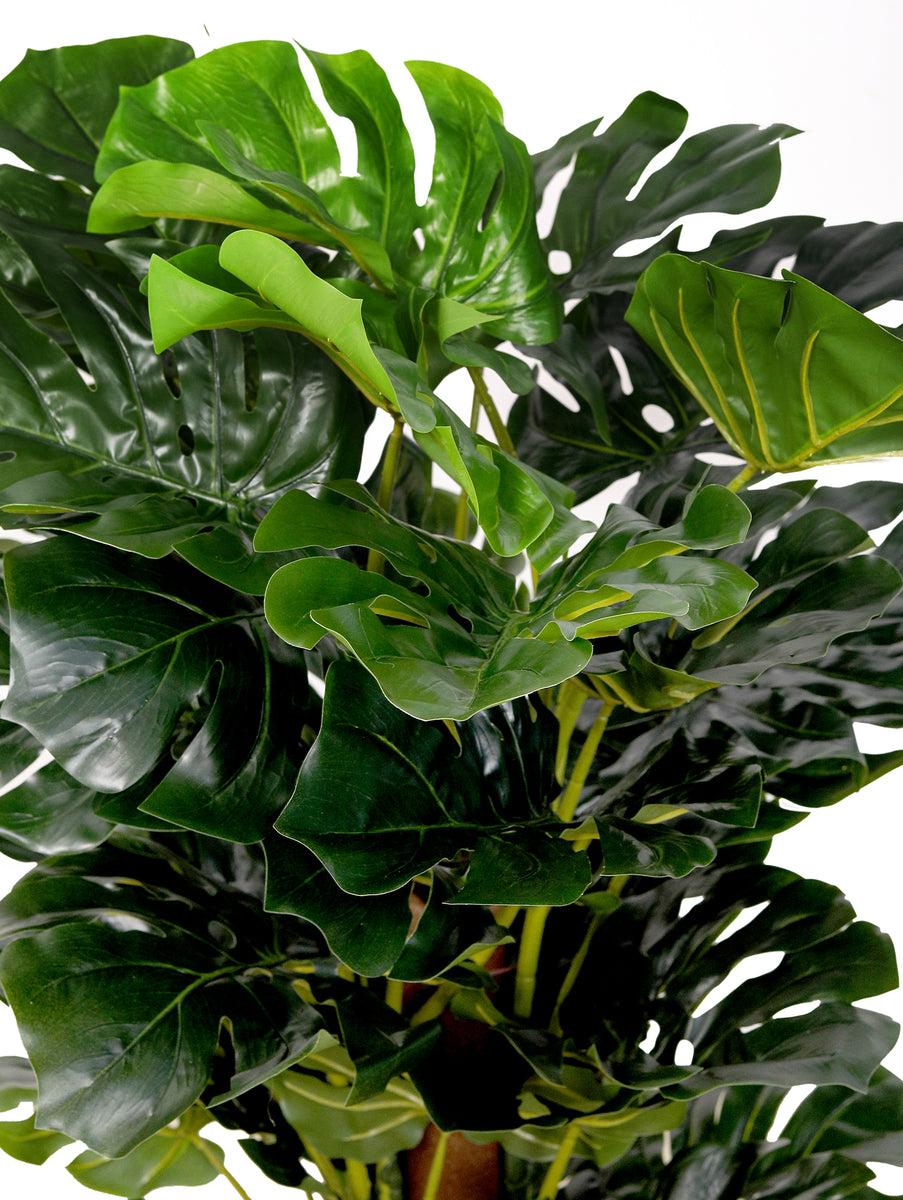 Artificial Mostera Medium Buy Artificial Plants Online in Kuwait