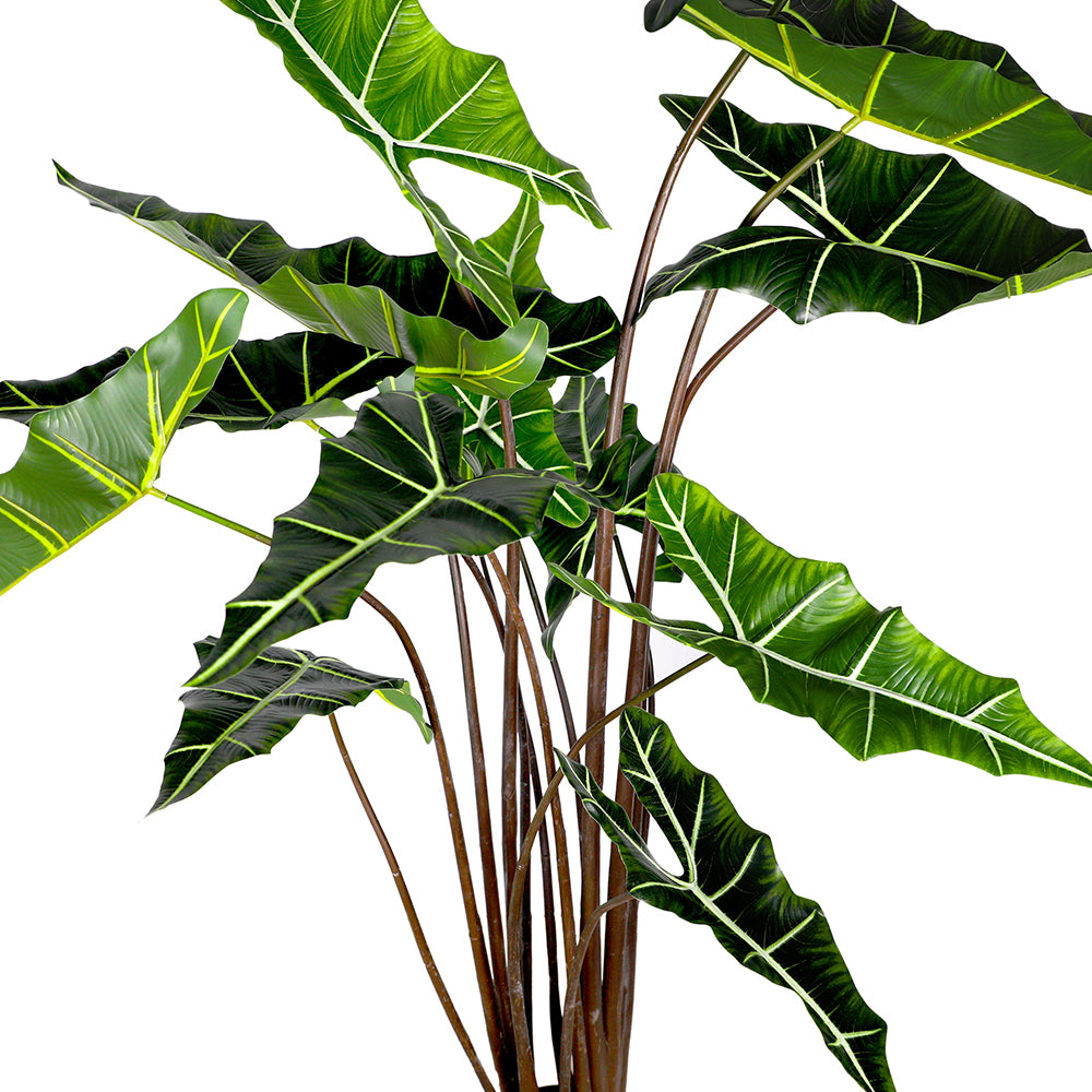 Artificial Alocasia Sarian M Buy Artificial Plants Online in Kuwait