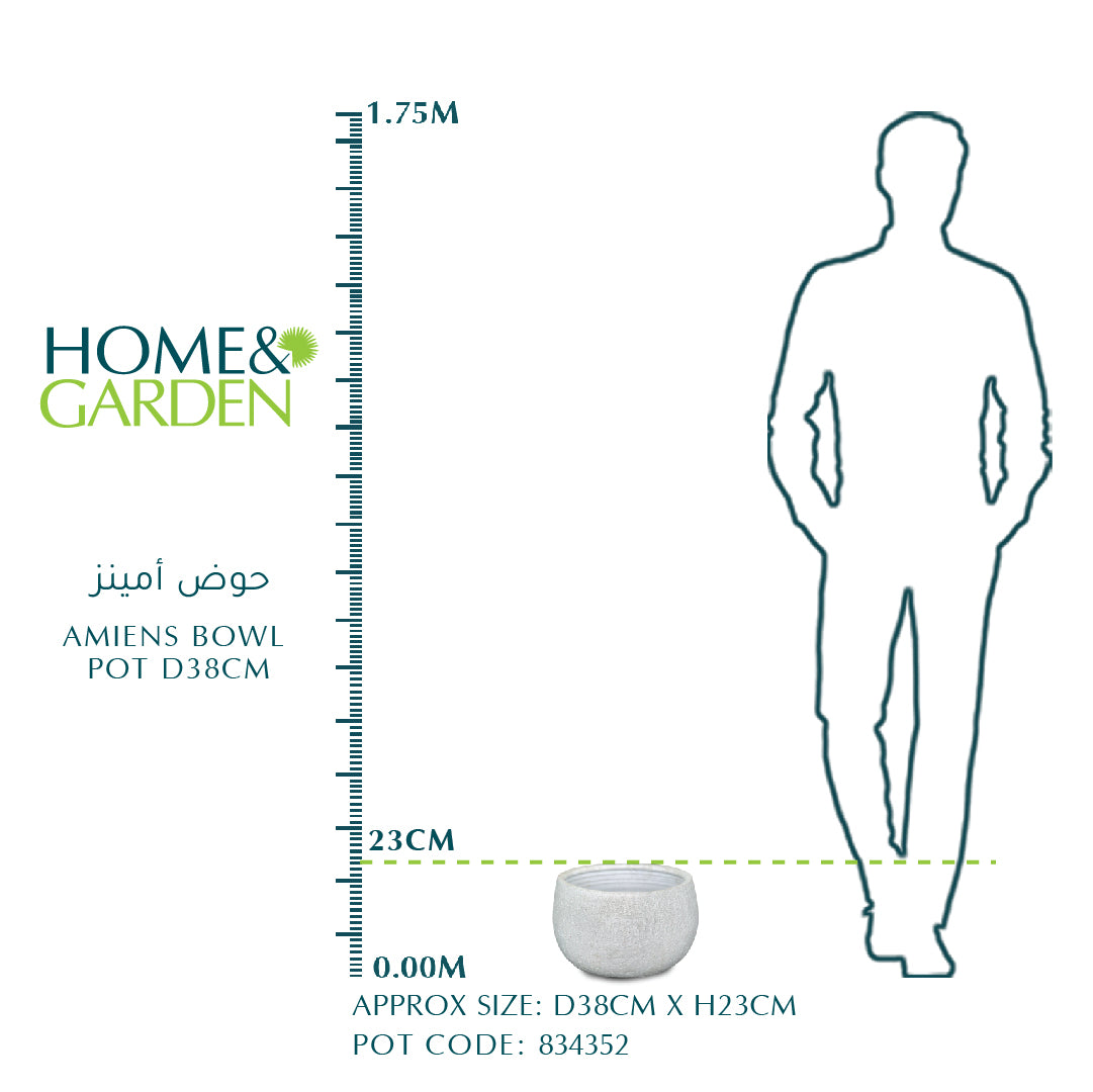 AMIENS WHITE BOWL PLANTER - حوض سيراميك أبيض