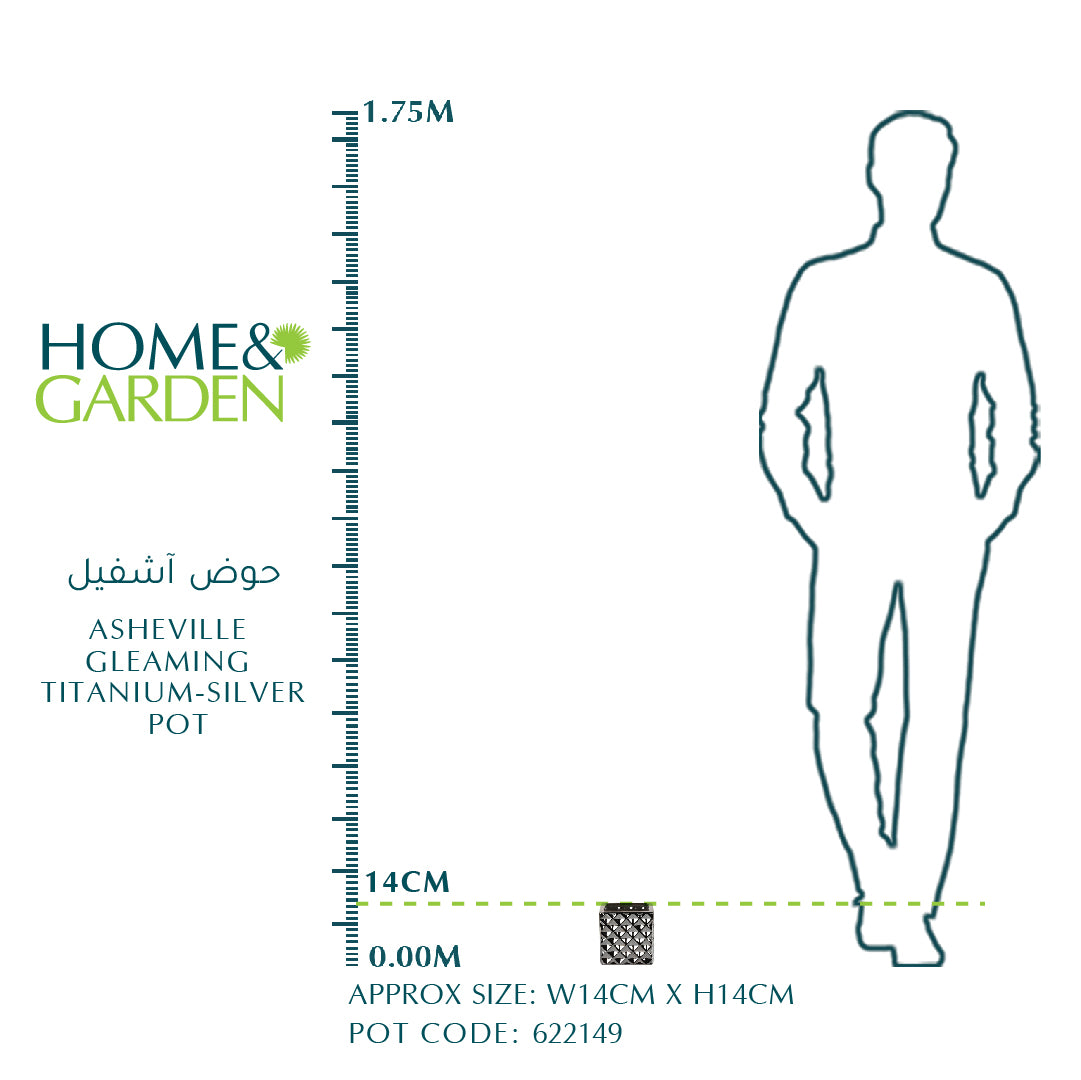 ASHEVILLE GLEAMING TITANIUM-SILVER POT W14 CMS