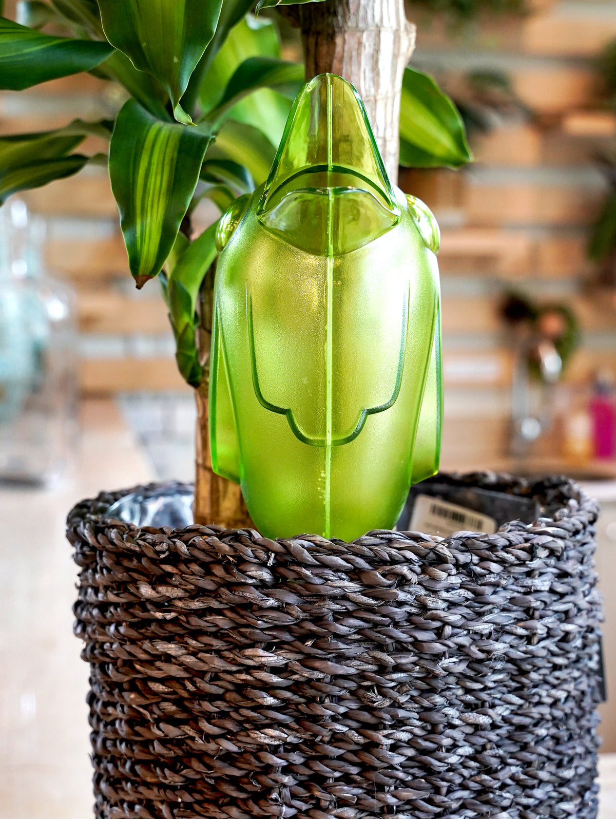 GREEN WATER RESERVOIR BORDY-مساعد الري