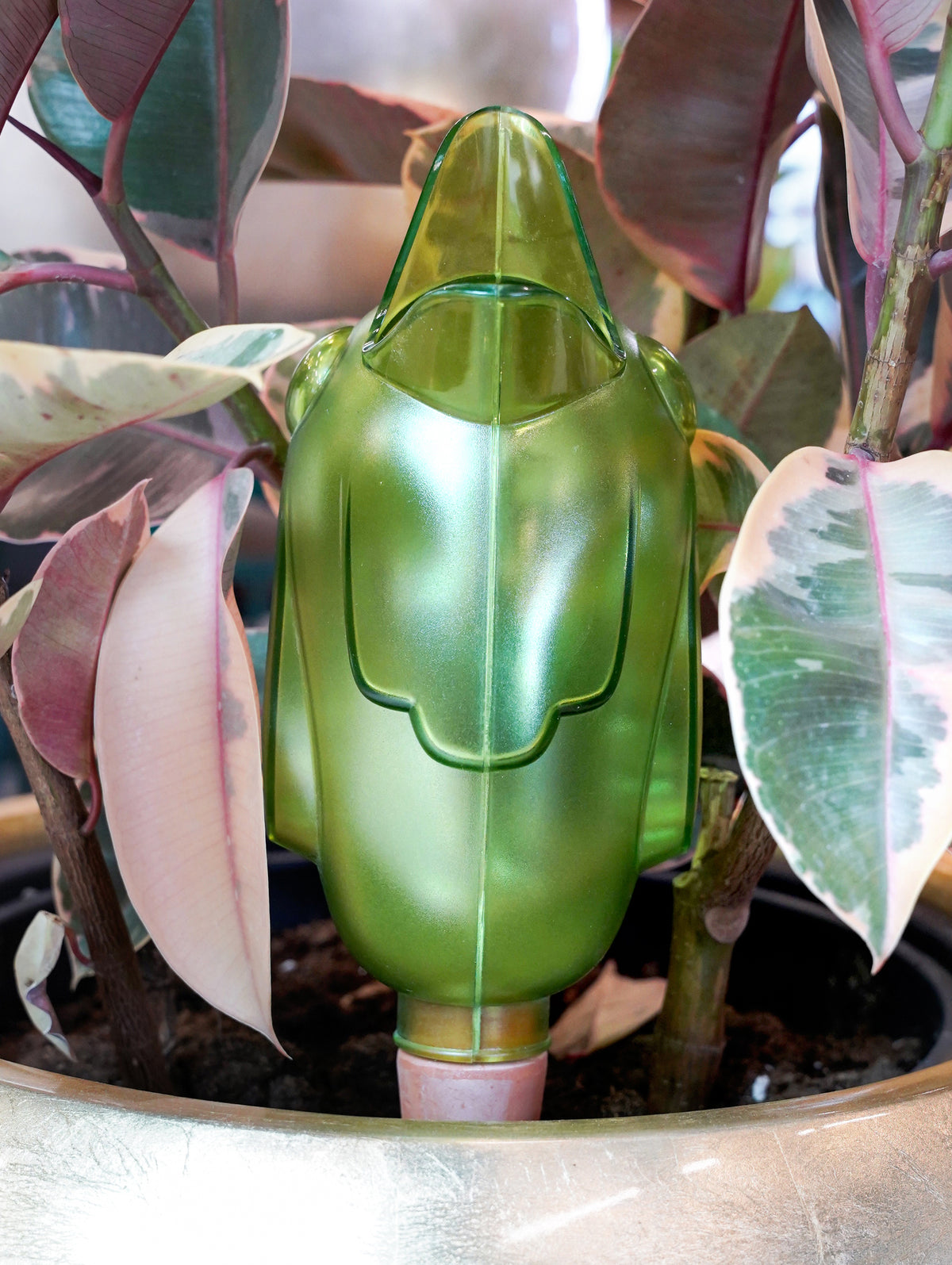 GREEN WATER RESERVOIR BORDY-مساعد الري