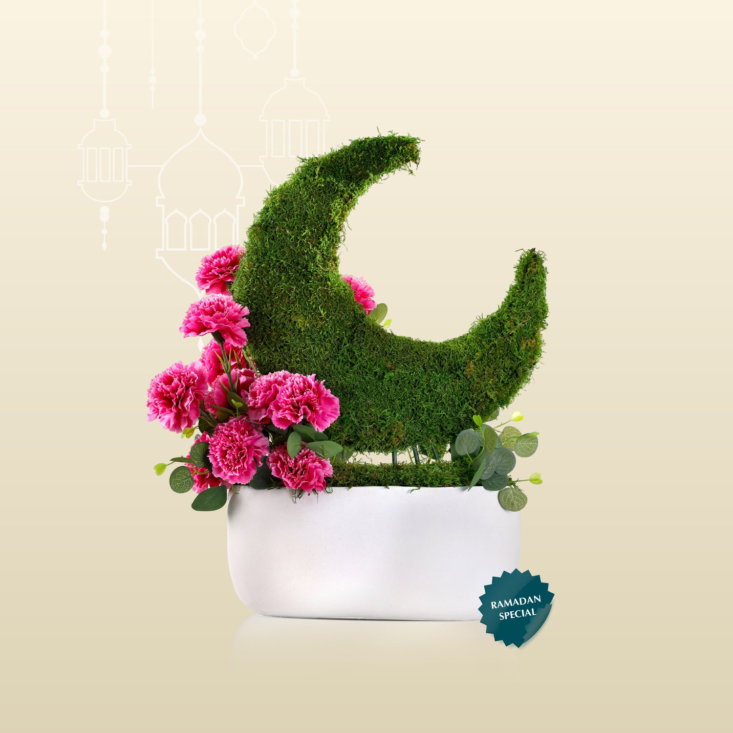 سانسفيريا سيليندريكا في حوض أخضر عتيق