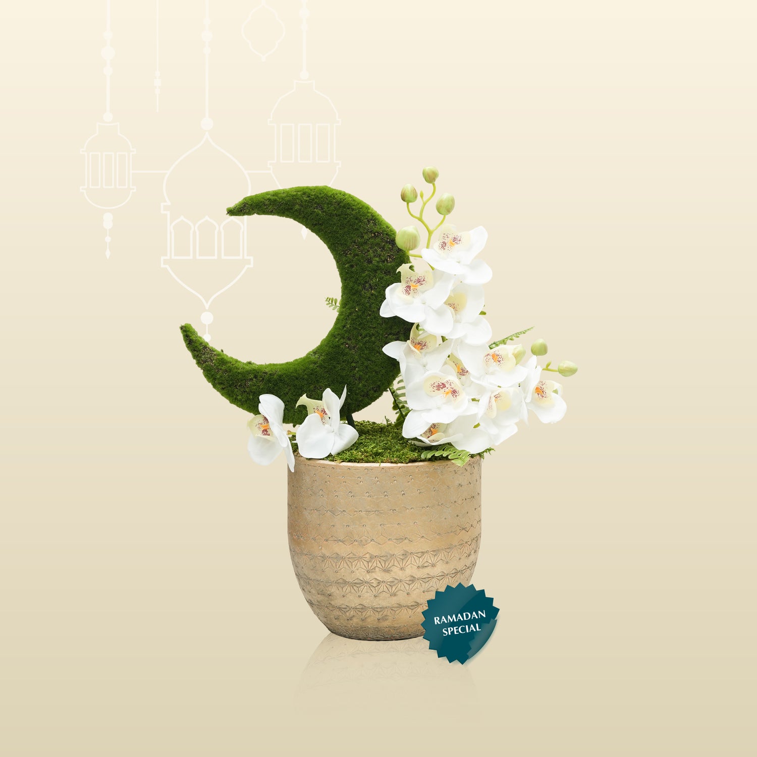 سانسفيريا سيليندريكا في حوض أخضر عتيق