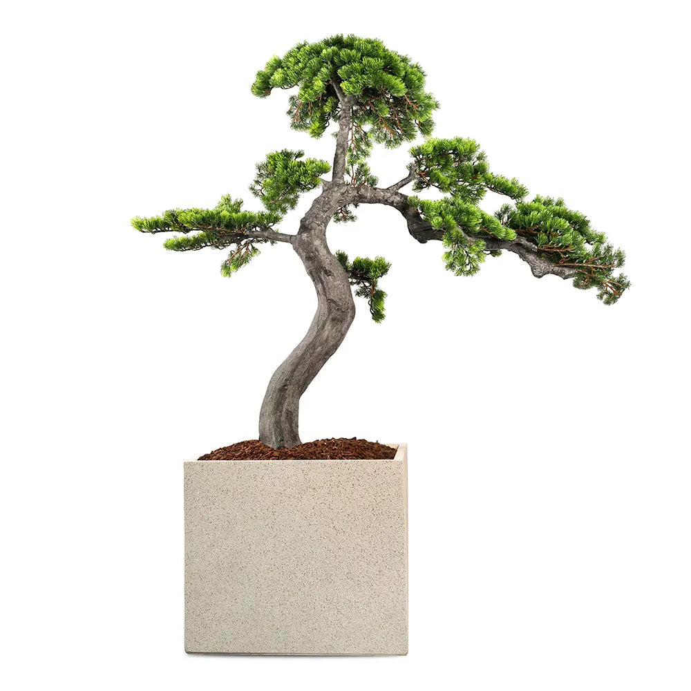  عصفور الجنة صناعي في حوض سيراميك ستافيردين - ارتفاع 160 سم