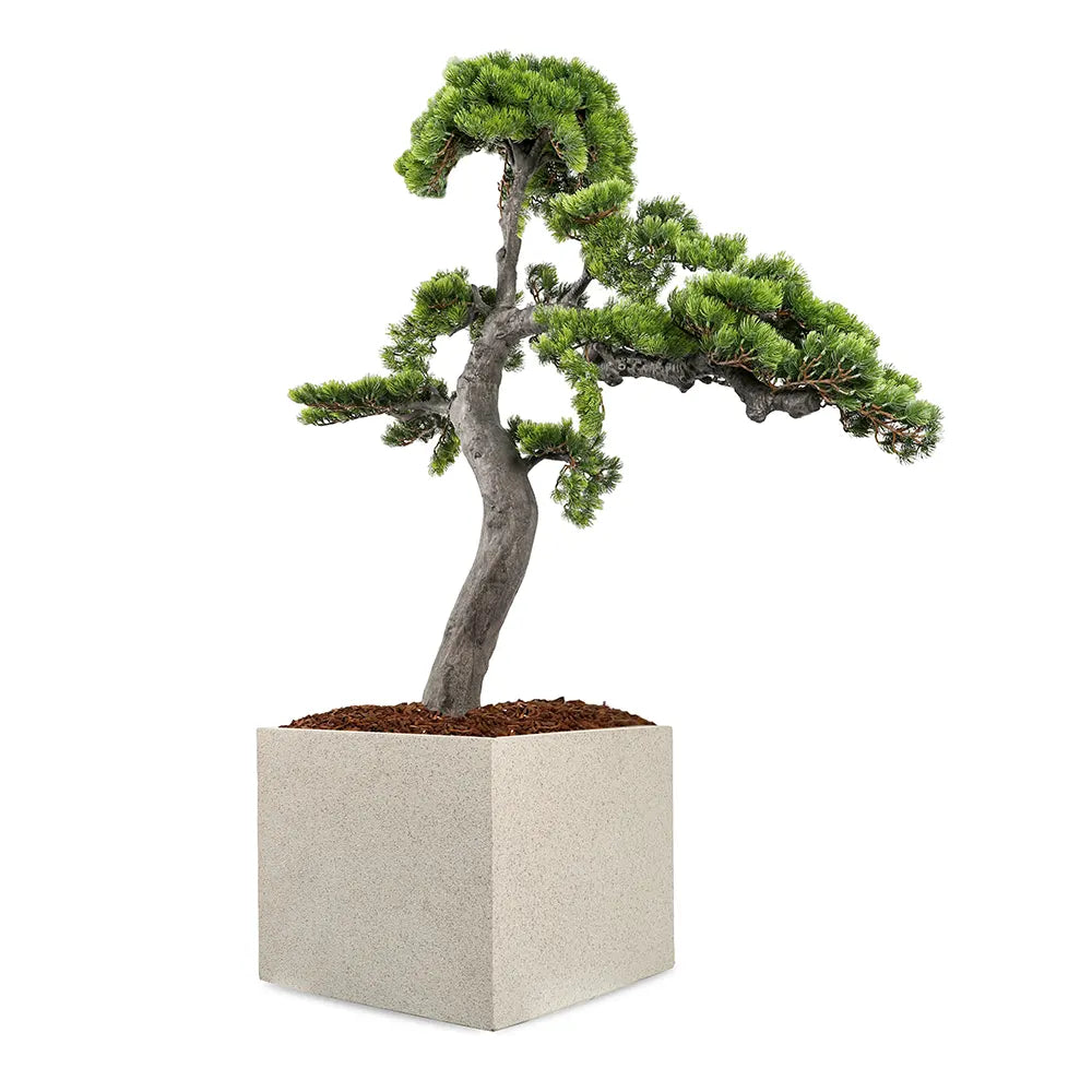  عصفور الجنة صناعي في حوض سيراميك ستافيردين - ارتفاع 160 سم