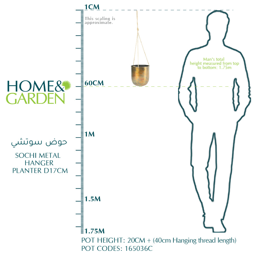SOCHI METAL HANGER PLANTER D17CM - حوض سوتشي 17 سم