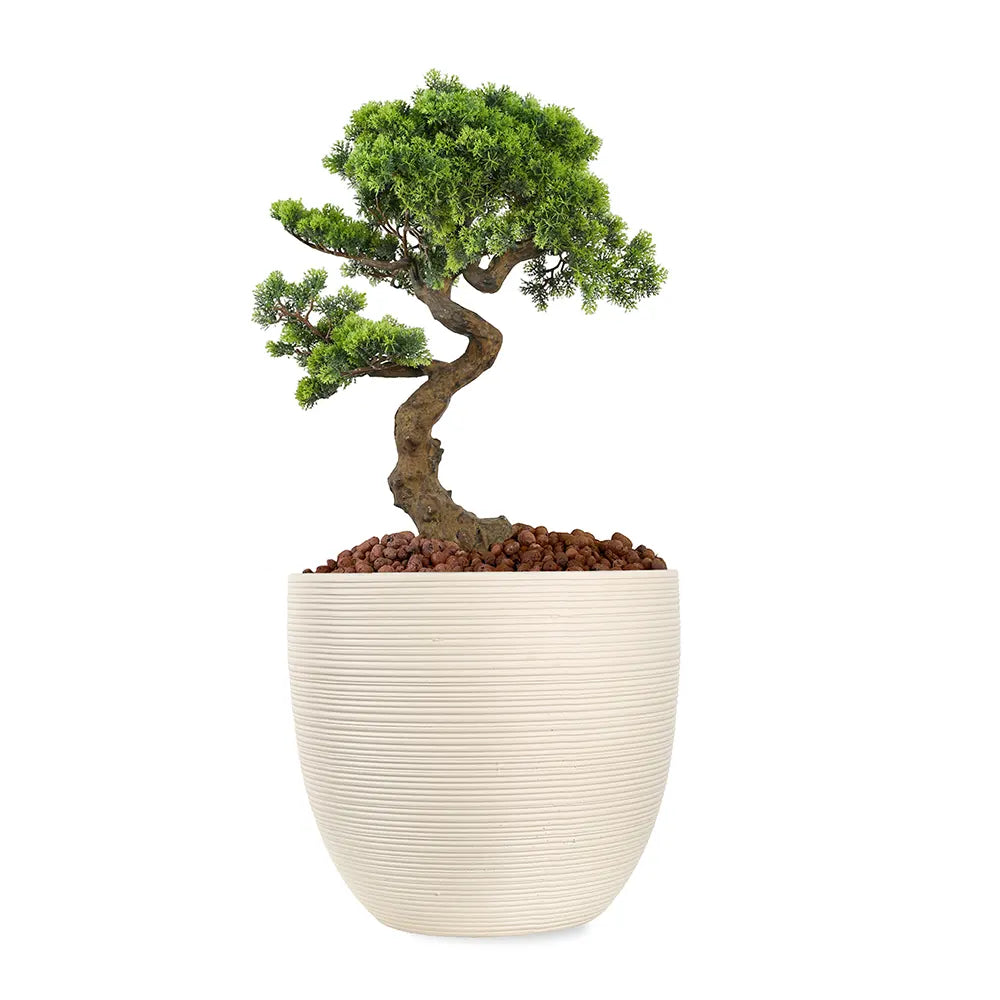  عصفور الجنة صناعي في حوض سيراميك ستافيردين - ارتفاع 160 سم