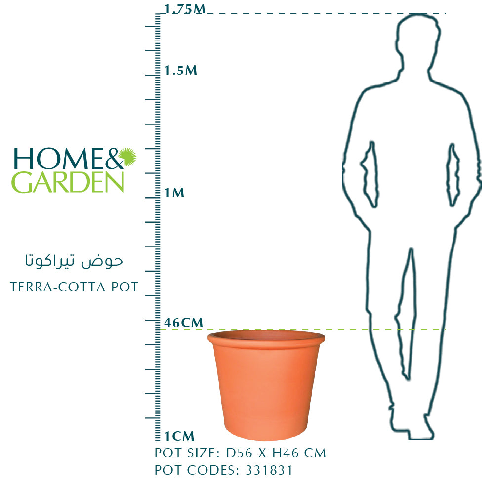 TERRA-COTTA POT 56cm  حوض تيراكوتا