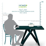 ARIZONA GLEAMING MIRROR-SILVER POT L28CM -حوض أريزونا