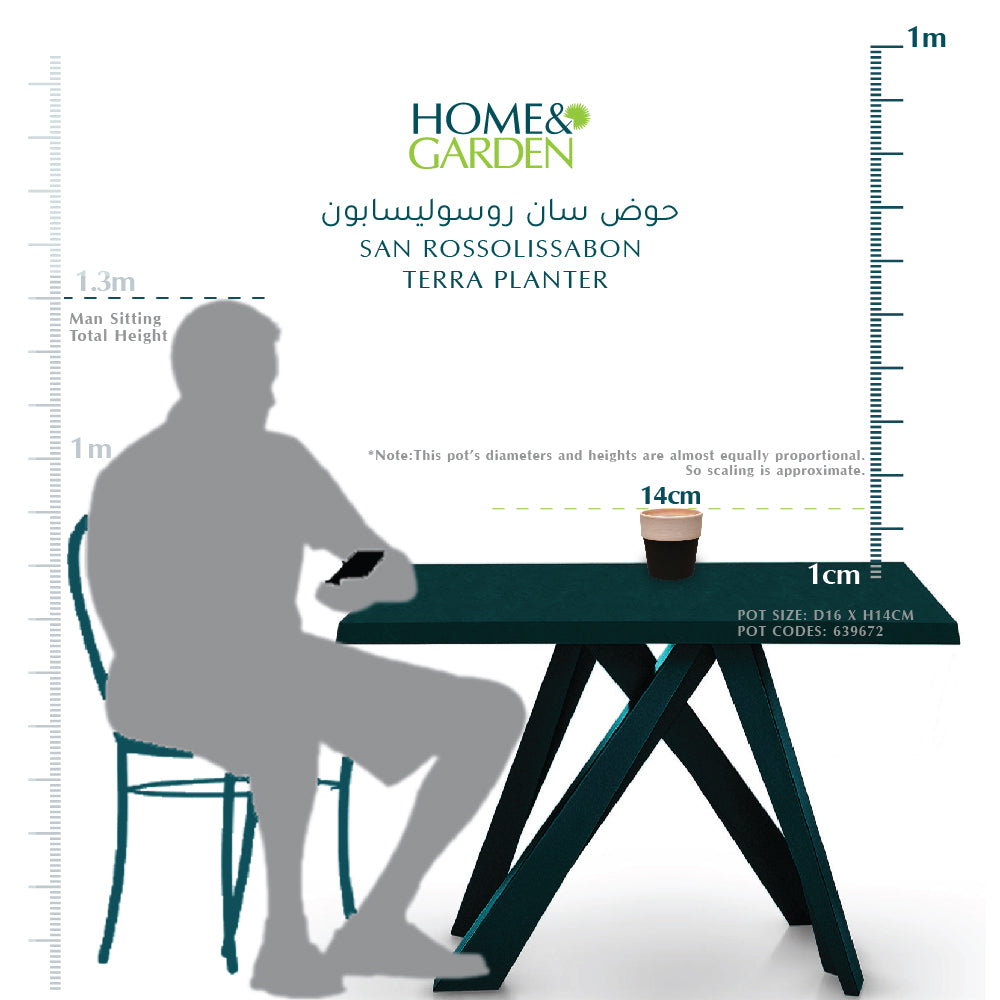 SAN ROSSOLISSABON TERRA PLANTER - حوض سان روسوليسابون