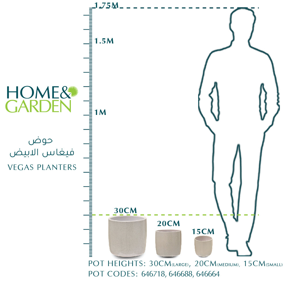 VEGAS PLANTER - حوض فيغاس باللون الأبيض