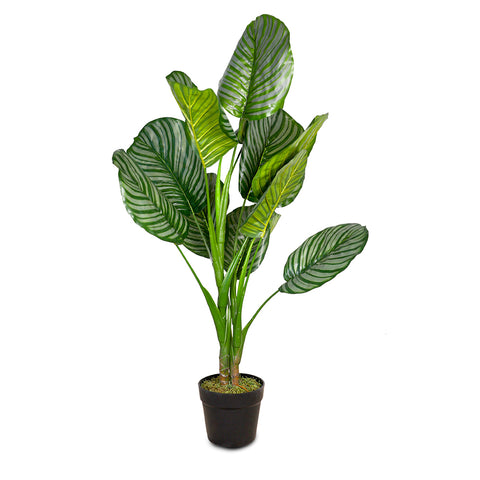 ARTIFICIAL CALATHEA GREEN PLANT- كالاثيا صناعى