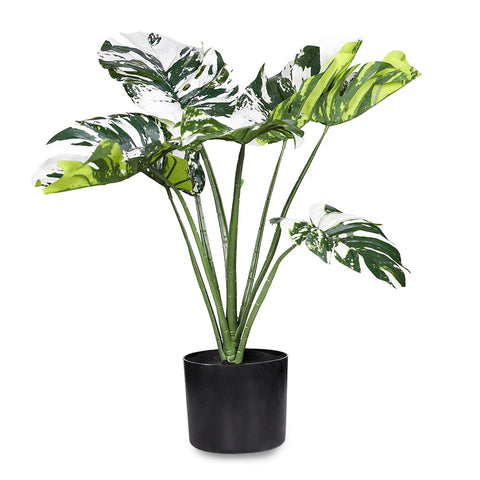 ARTIFICIAL MONSTERA PLANT - نبات المونستيرا الاصطناعي