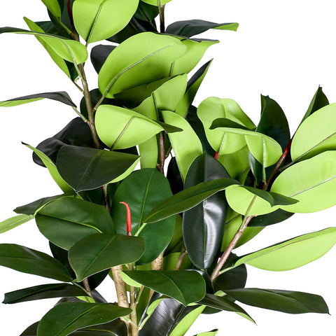 ARTIFICIAL FICUS ELASTICA PLANT - نبات فيكس المطاط الاصطناعي