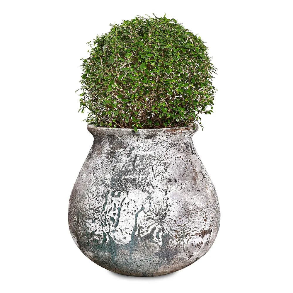 CARMONA IN GELEEN GREEN CERAMIC PLANTER