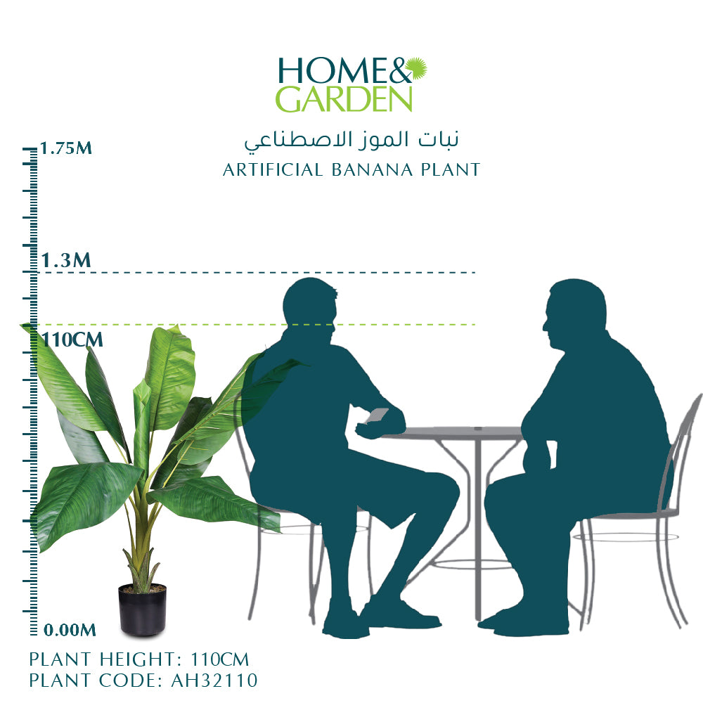 نبات الموز الاصطناعي - نبات الموز الاصطناعي 