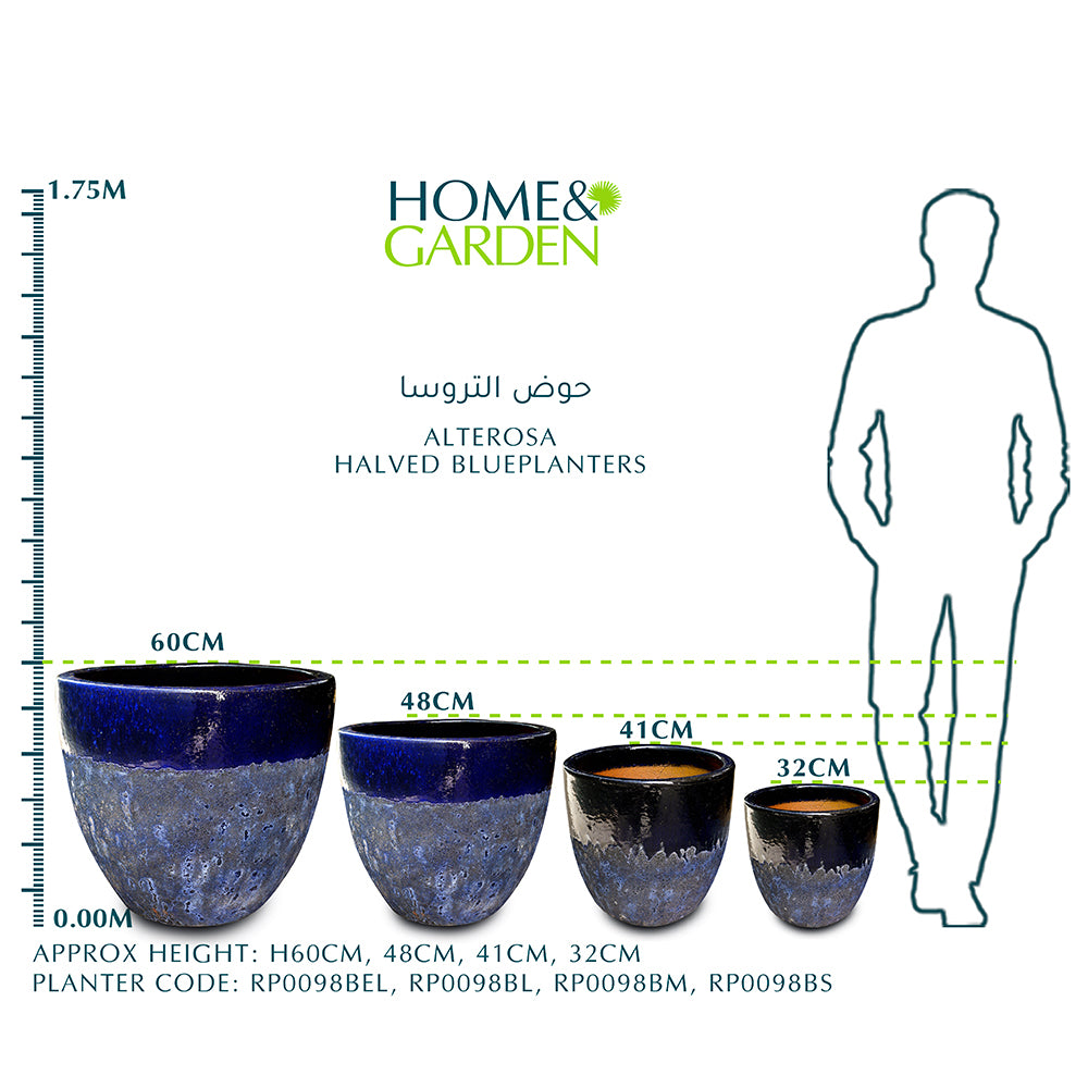 ALTEROSA HALVED BLUE PLANTER - حوض سنوي 