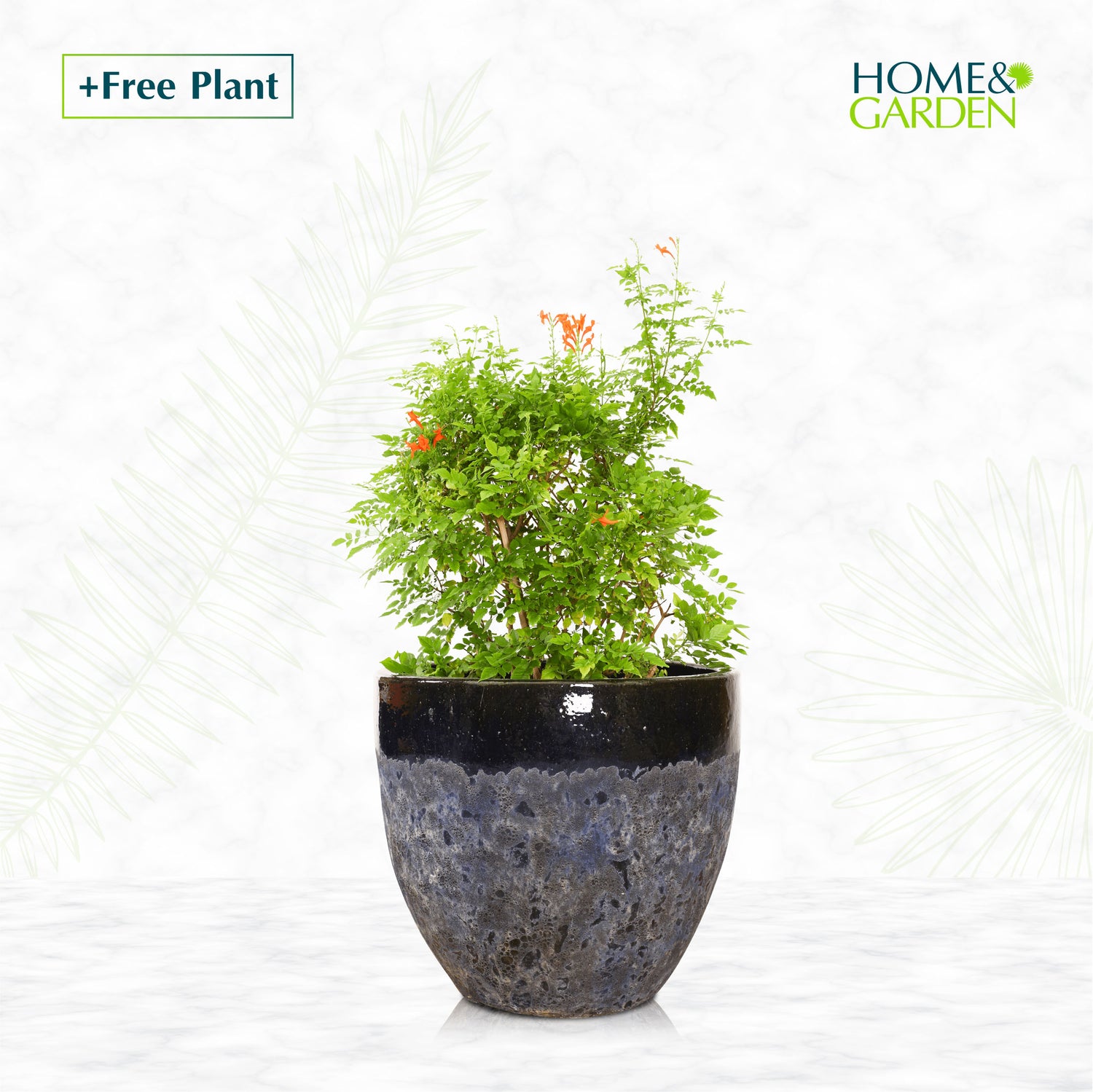 BUY POT & GET A PLANT FREE - ALTEROSA HALVED BLUE PLANTER - حوض ألتروسا - اشتري حوض واحصل على نبتة مجاناً