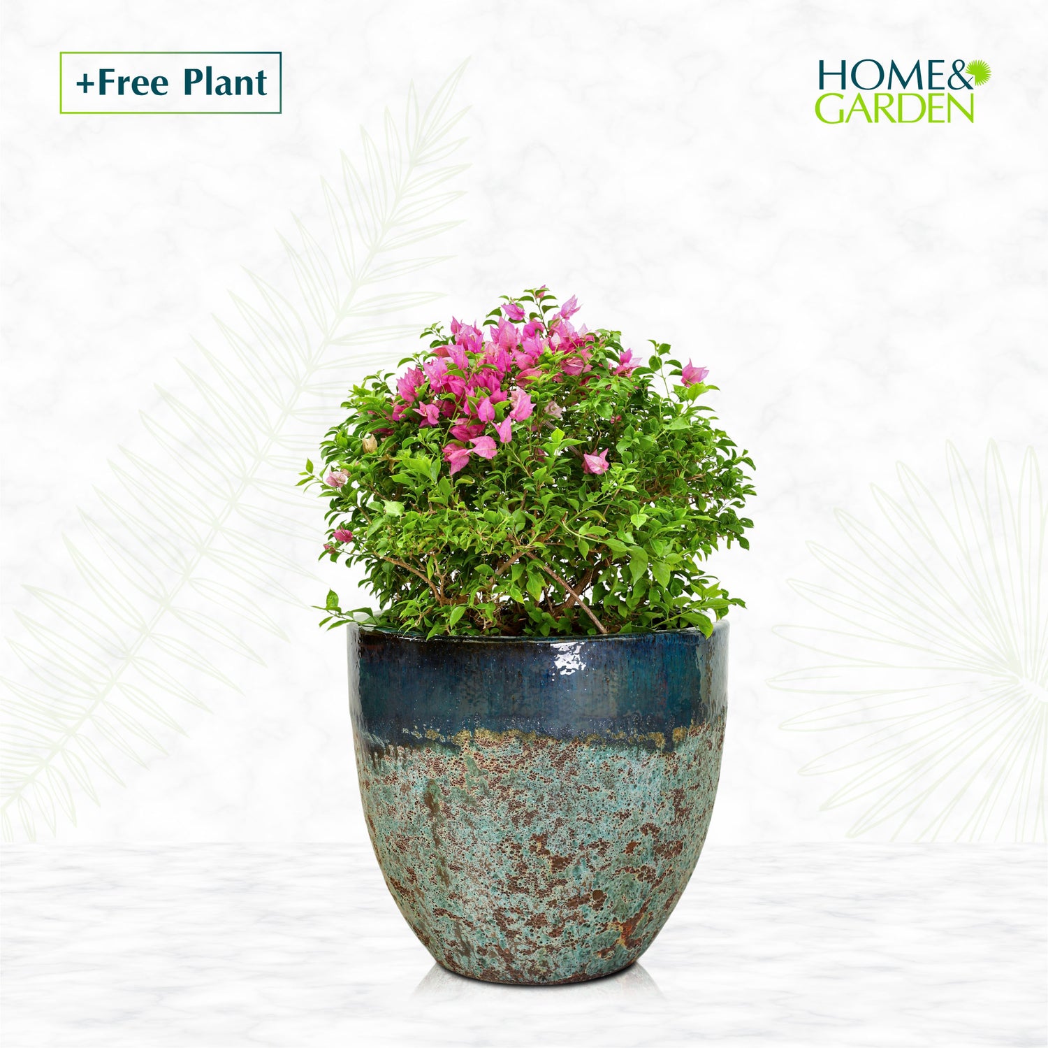 BUY POT & GET A PLANT FREE -ALTEROSA MIST GREEN PLANTER - حوض ألتروسا - اشتري حوض واحصل على نبتة مجاناً