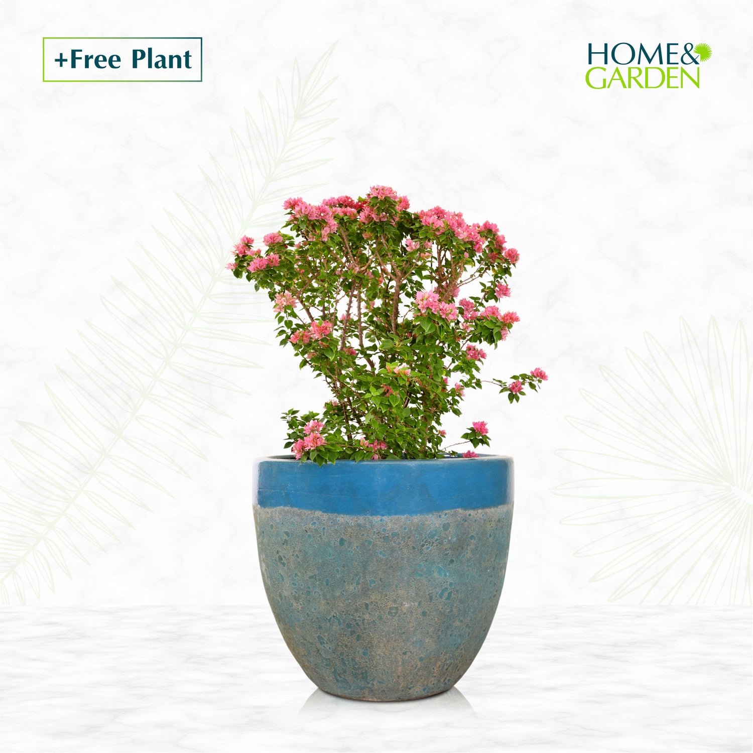 BUY POT & GET A PLANT FREE - ALTEROSA IRONSTONE AQUA BLUE PLANTER - حوض ألتروسا - اشتري حوض واحصل على نبتة مجاناً