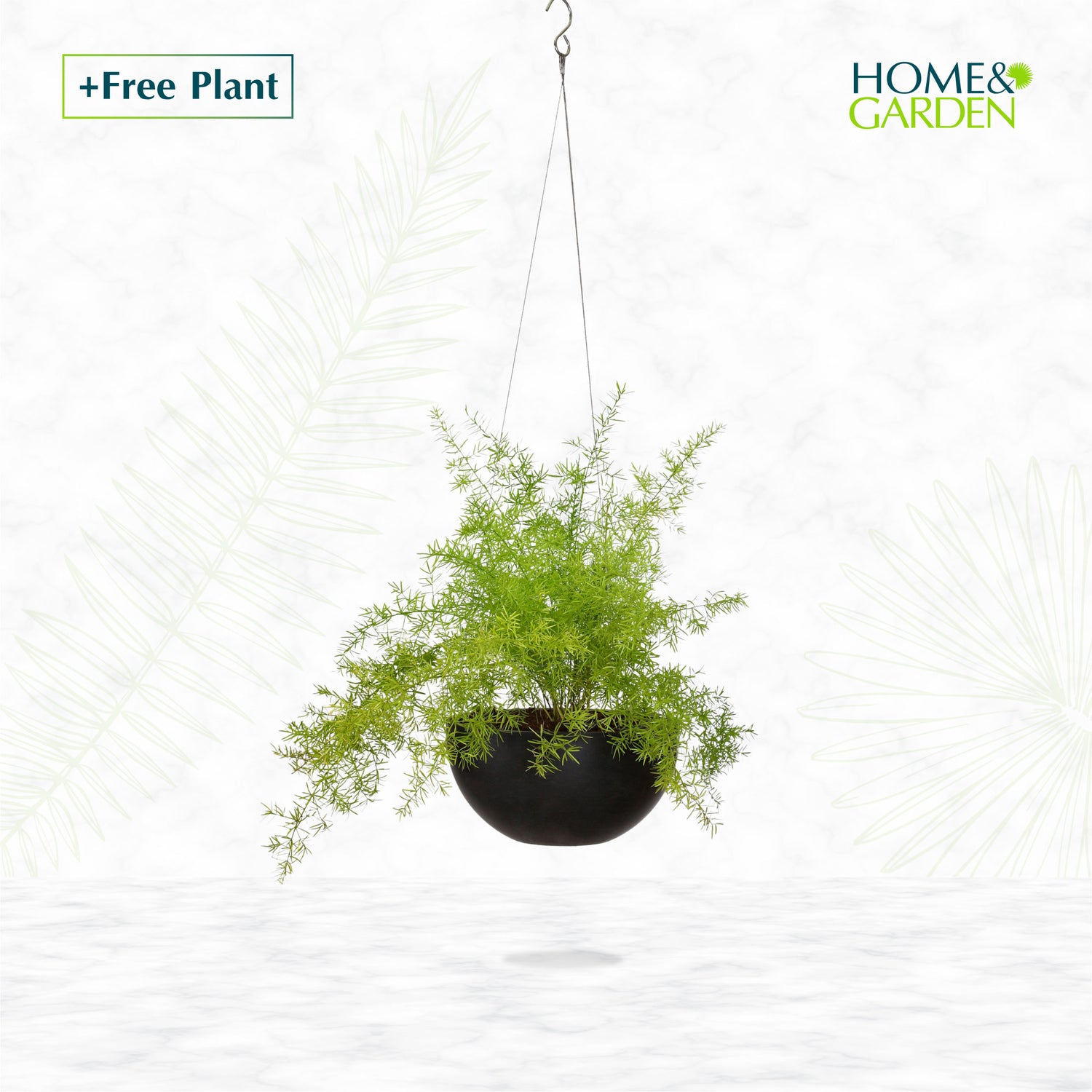 BUY POT & GET A PLANT FREE - OAKLAND HANGING POT - حوض أوكلاند المعلق - اشتري حوض واحصل على نبتة مجاناً