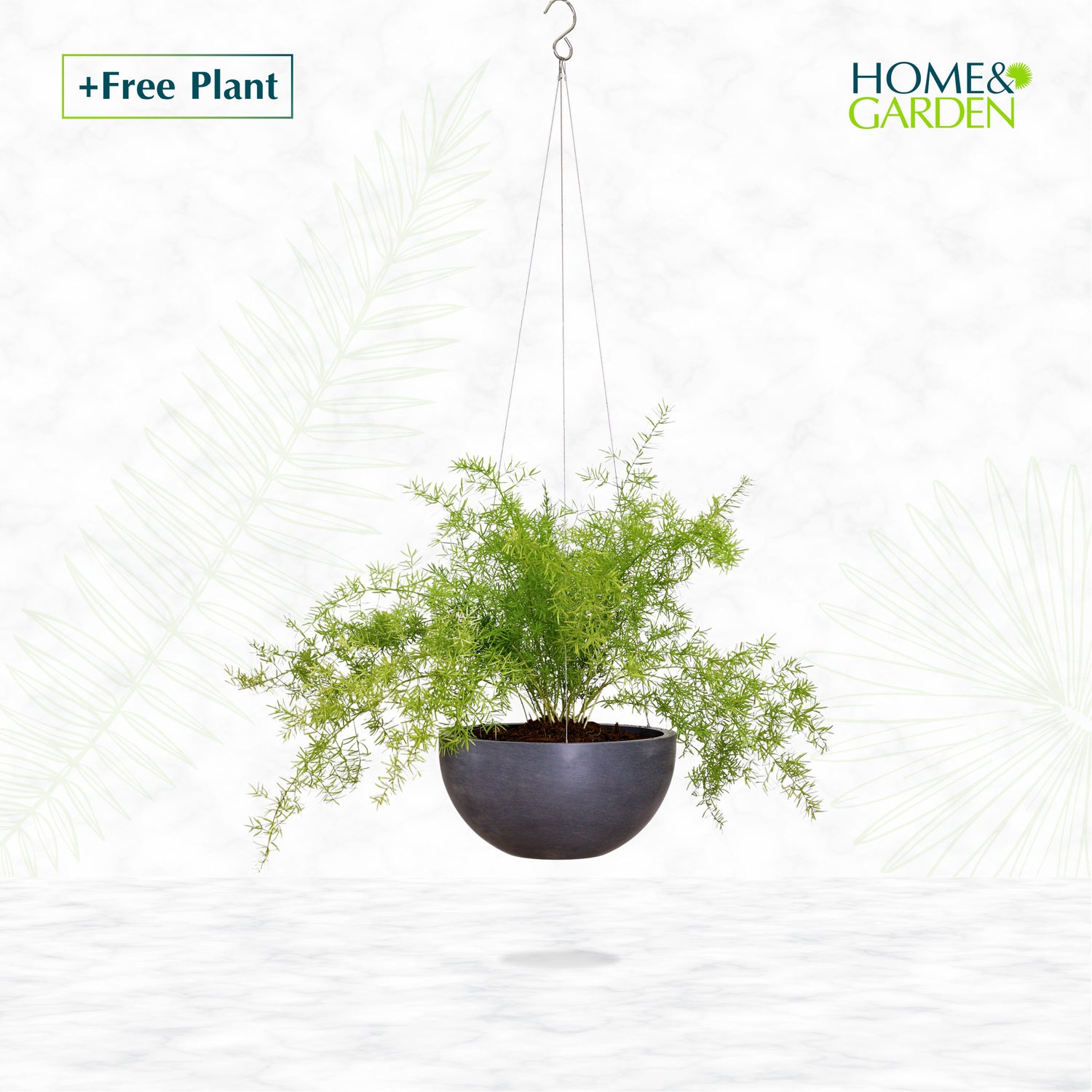 BUY POT & GET A PLANT FREE - OAKLAND HANGING POT - حوض أوكلاند المعلق - اشتري حوض واحصل على نبتة مجاناً