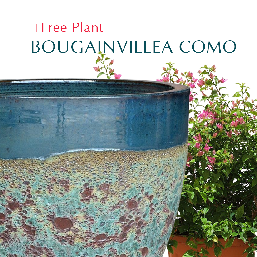 BUY POT & GET A PLANT FREE -ALTEROSA MIST GREEN PLANTER - حوض ألتروسا - اشتري حوض واحصل على نبتة مجاناً