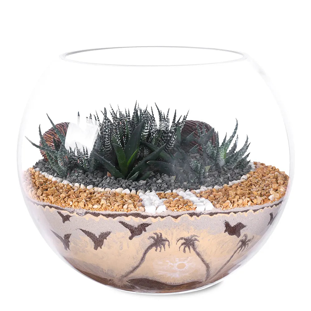 SUCCULENT PLANTS IN TERRARIUM - النباتات العصارية في التيراريوم