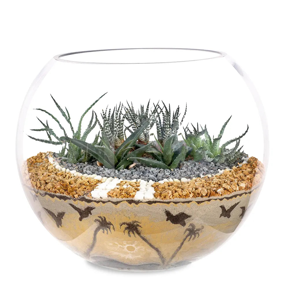 TERRARIUM GIFT SET - (صباريات في (هدية تيراريوم