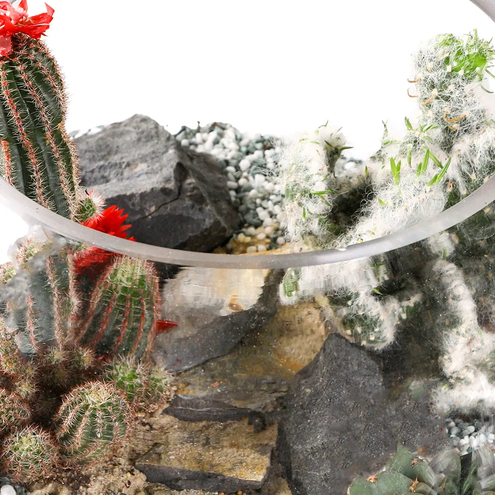 طقم هدية تراريوم