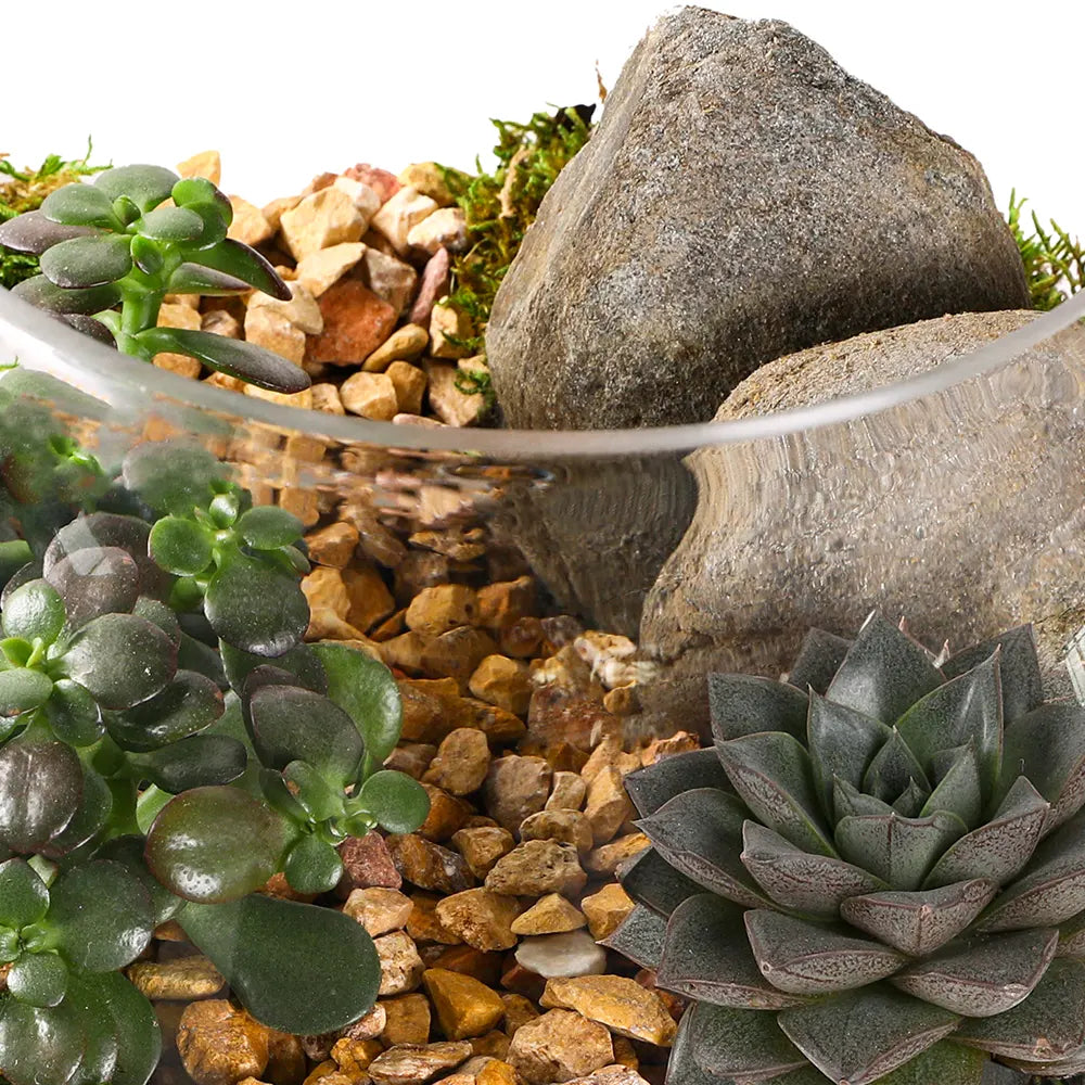 طقم هدية تراريوم