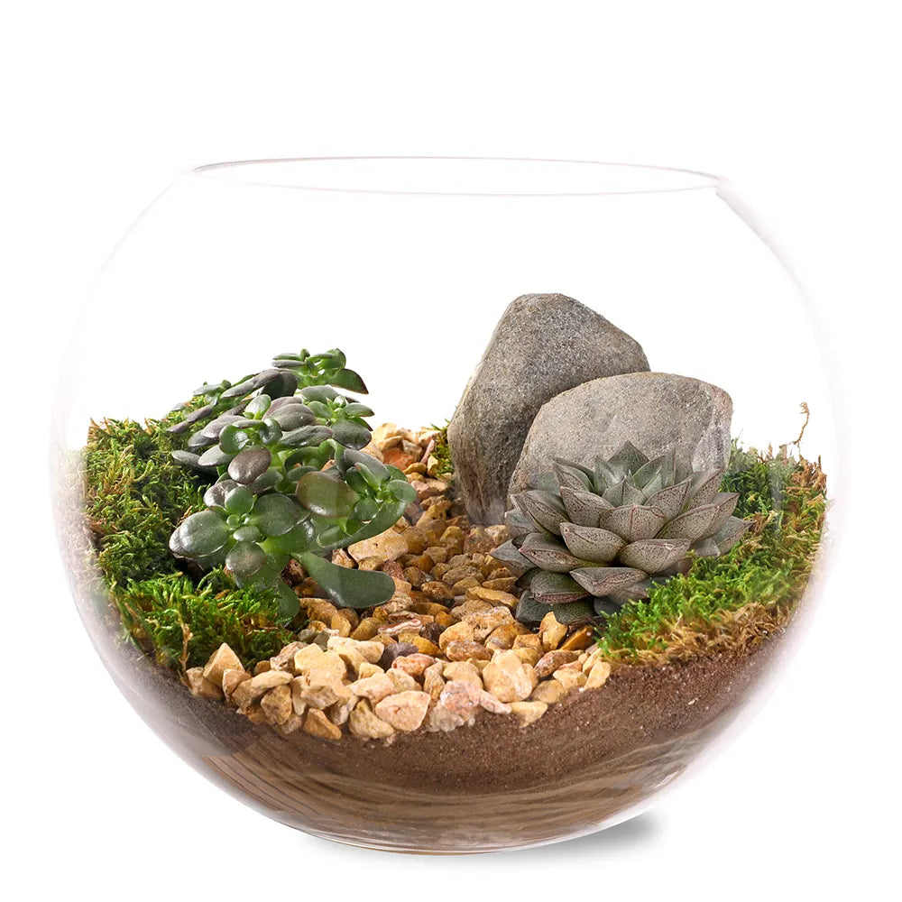 طقم هدية تراريوم