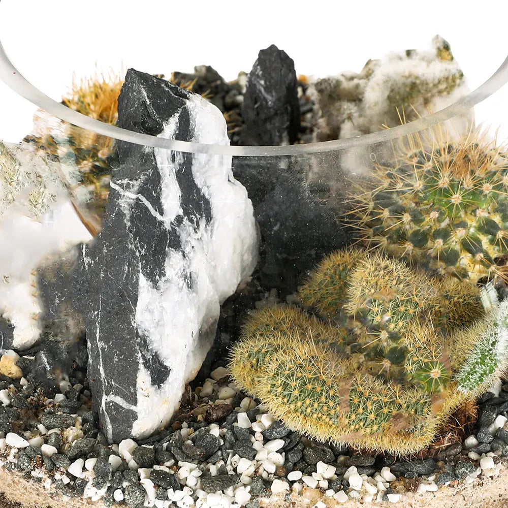 طقم هدية تراريوم