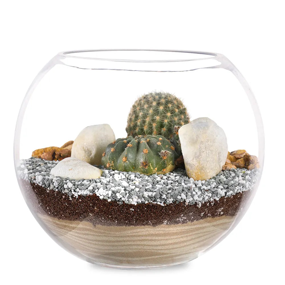 TERRARIUM GIFT SET - (صباريات في (هدية تيراريوم