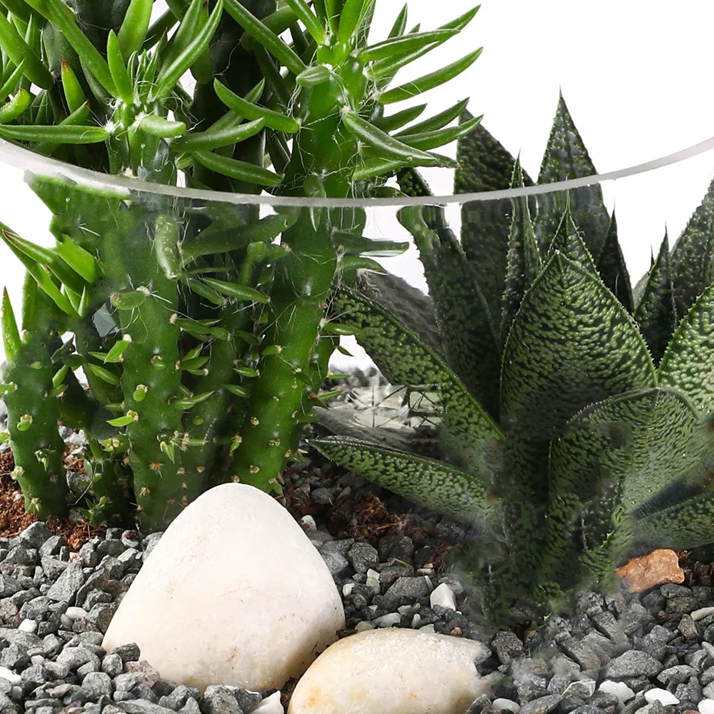 طقم هدية تراريوم