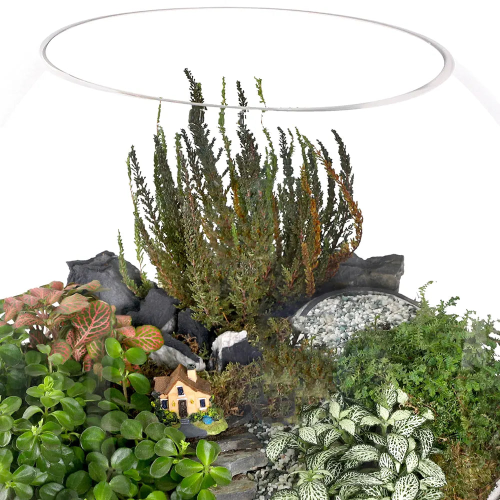 TERRARIUM GIFT SET - (صباريات في (هدية تيراريوم