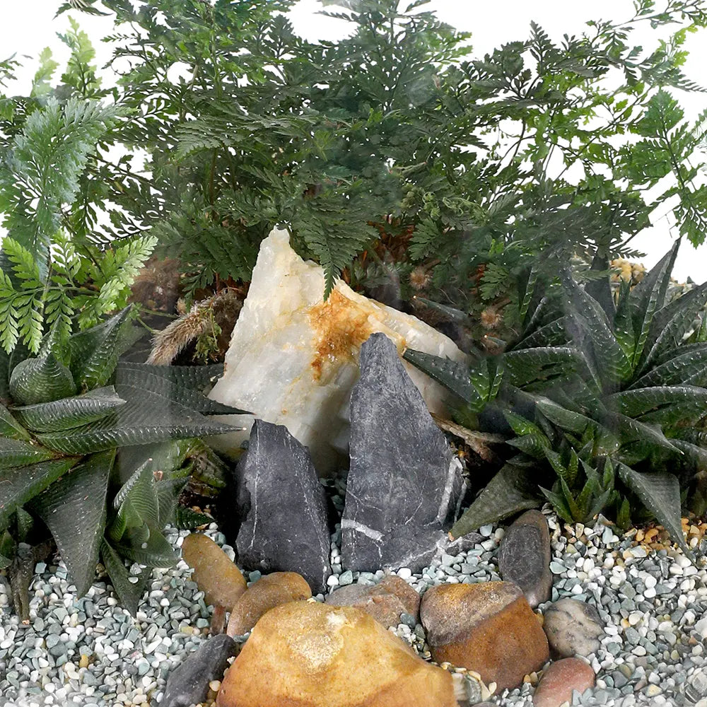 TERRARIUM GIFT SET - (صباريات في (هدية تيراريوم