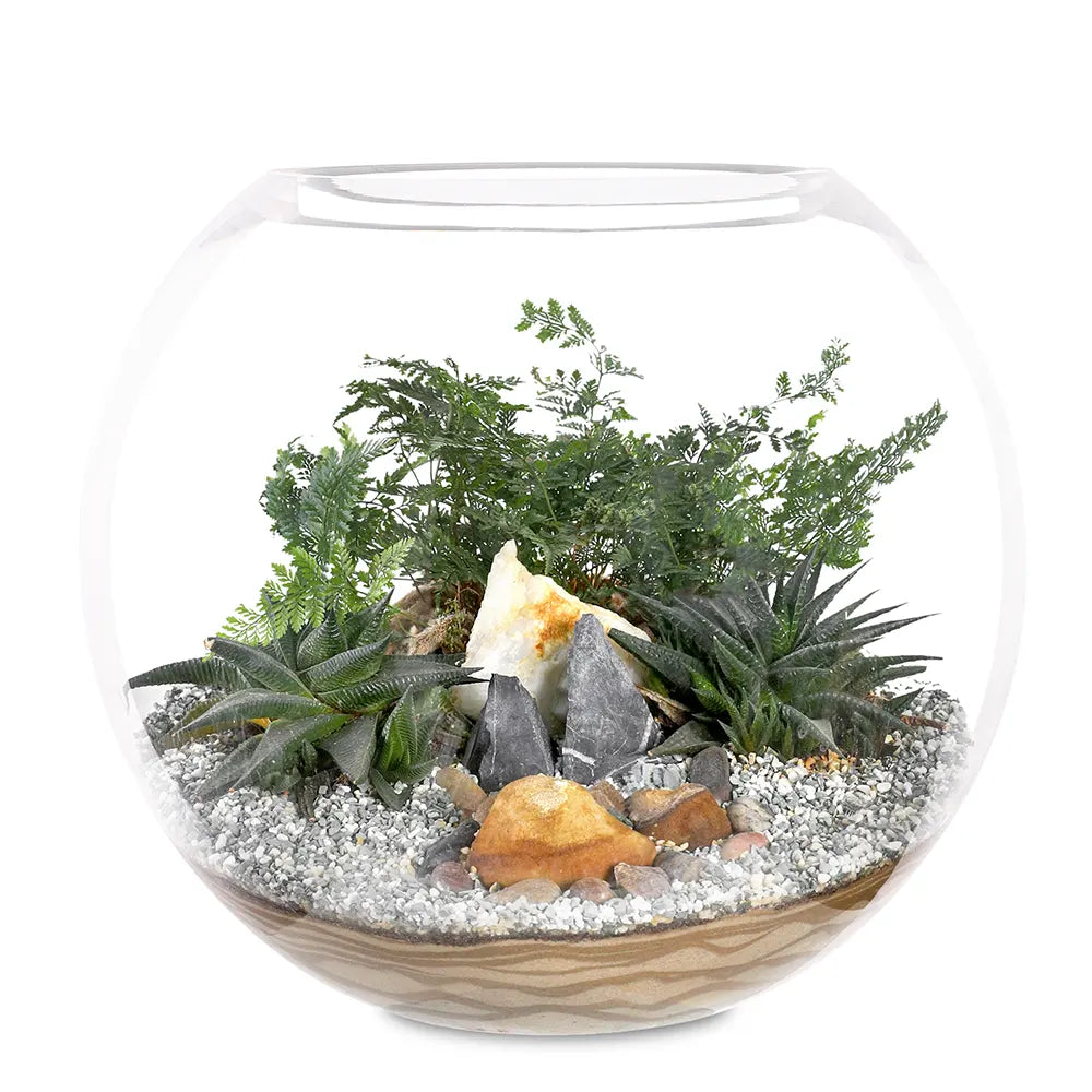 TERRARIUM GIFT SET - (صباريات في (هدية تيراريوم