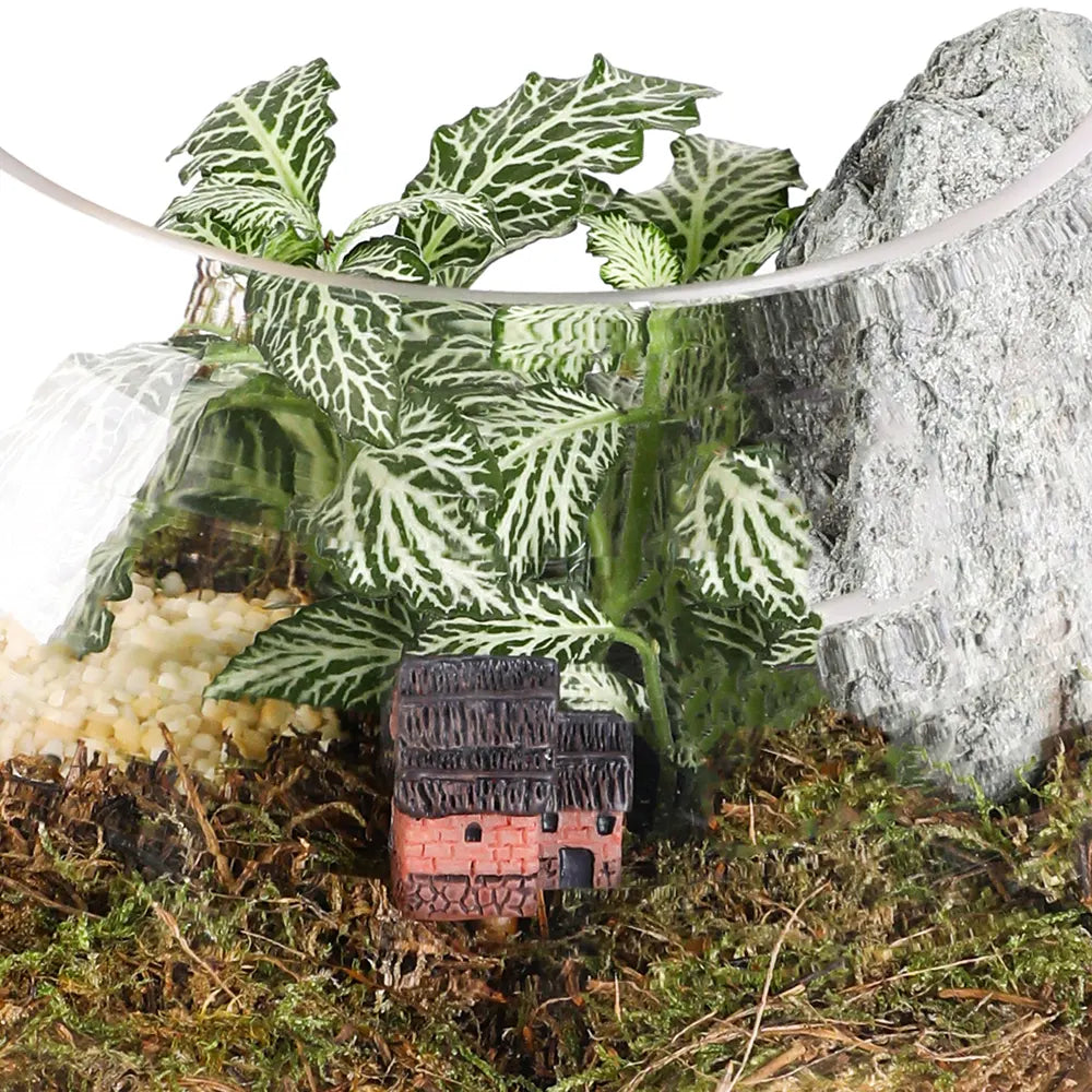 TERRARIUM GIFT SET - (صباريات في (هدية تيراريوم