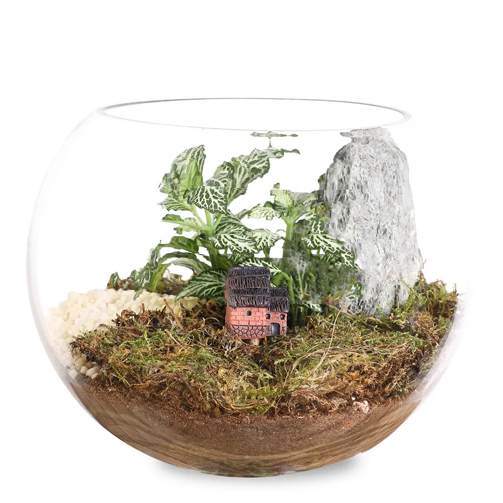 TERRARIUM GIFT SET - (صباريات في (هدية تيراريوم