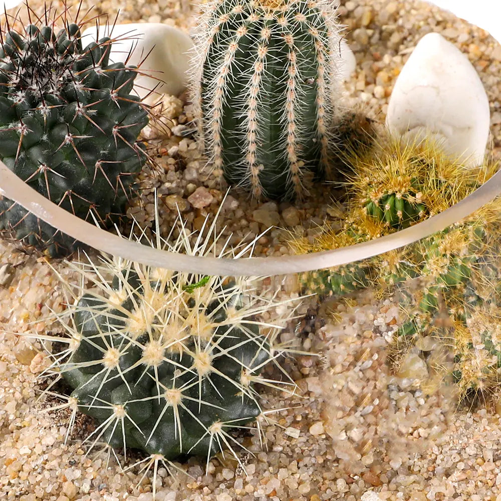 طقم هدية تراريوم